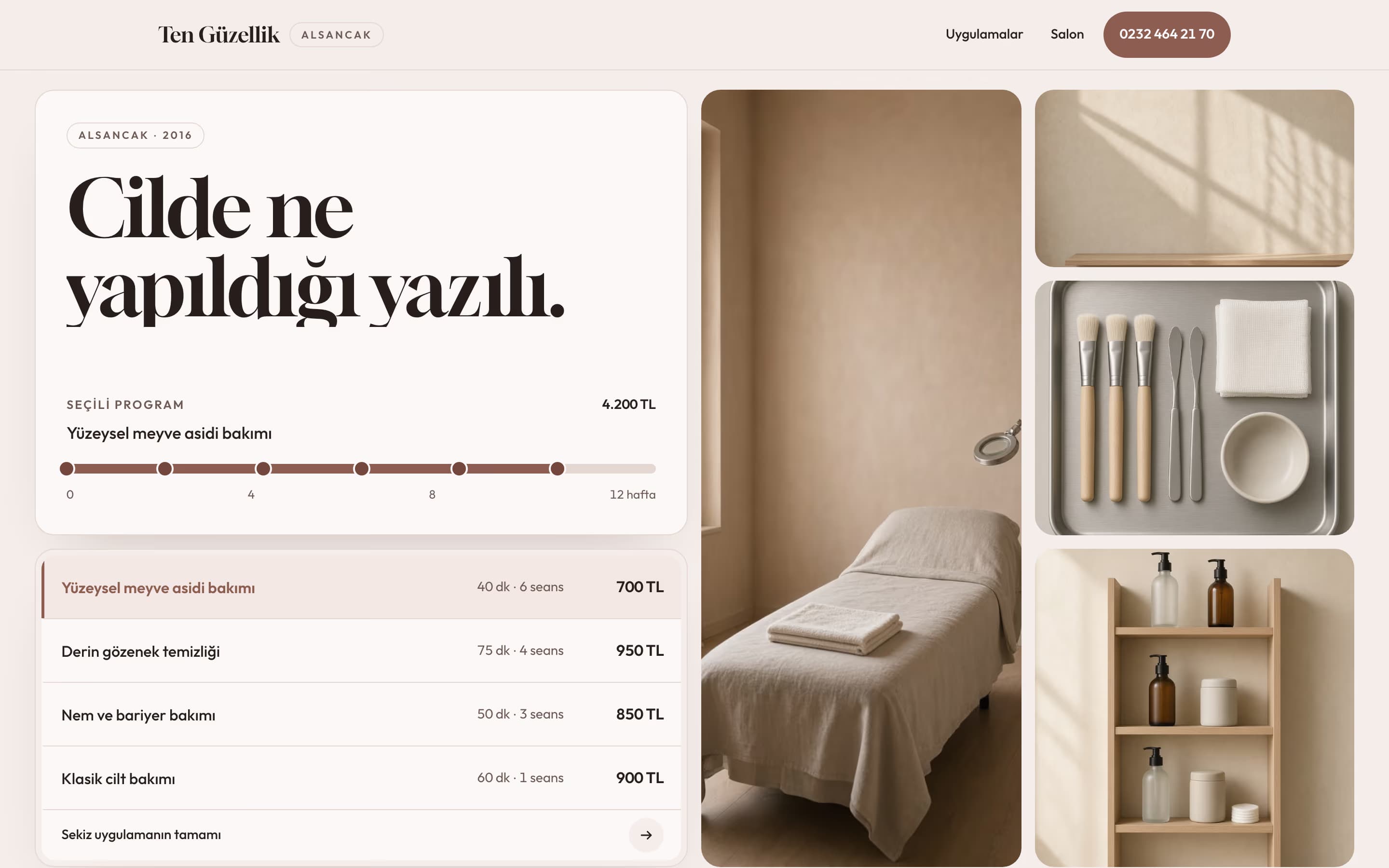 Güzellik Salonu — Ten Güzellik şablonunun ekran görüntüsü
