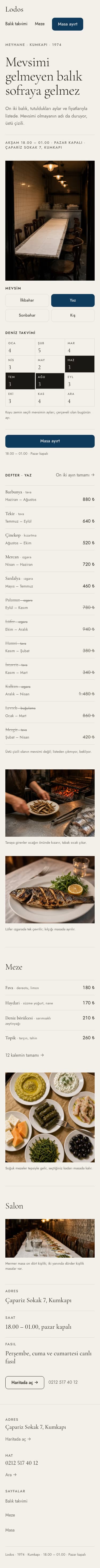 Lodos şablonunun telefon görünümü